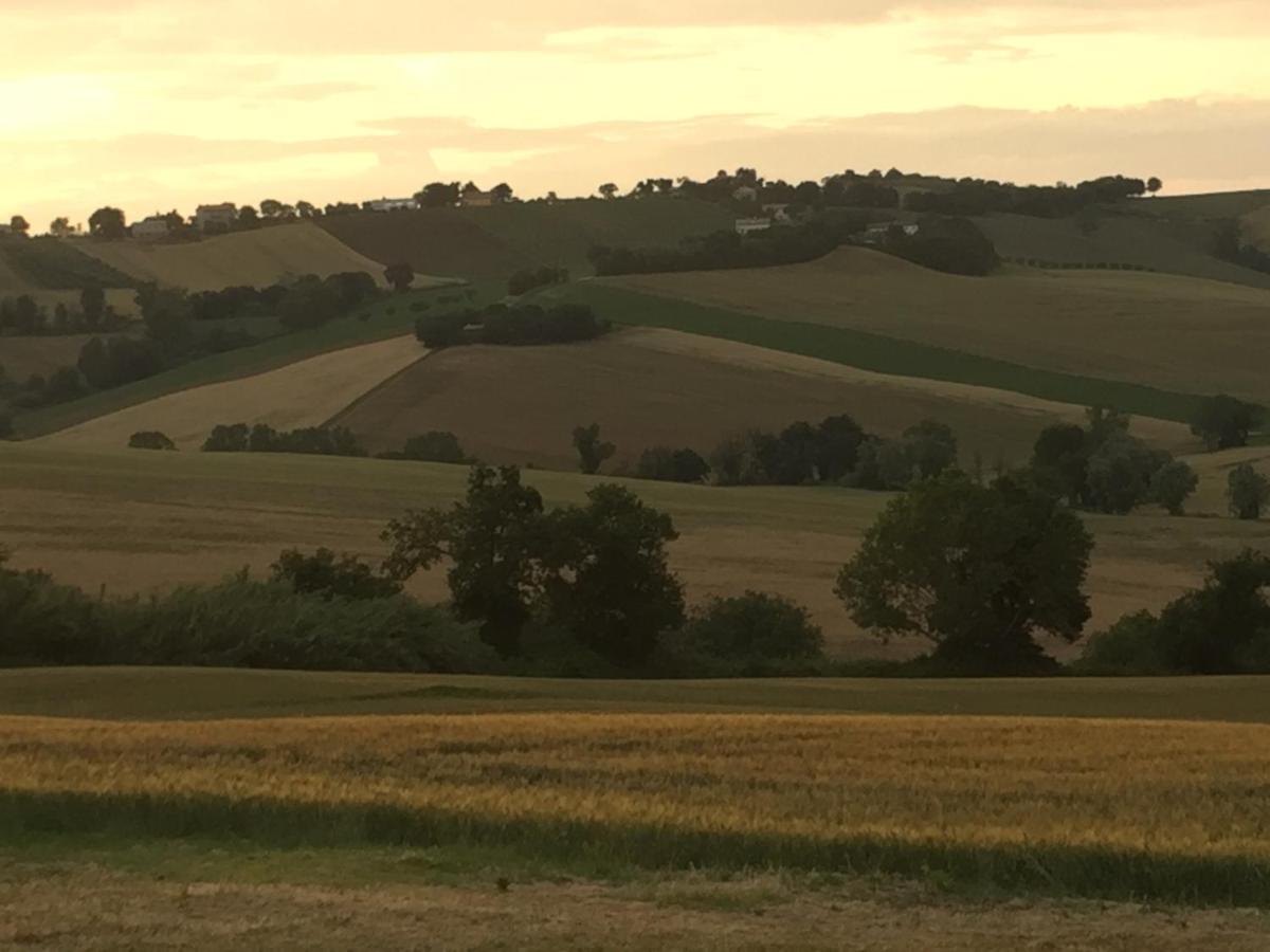 Il Giardino Nella Valle Belvedere Ostrense Exteriér fotografie