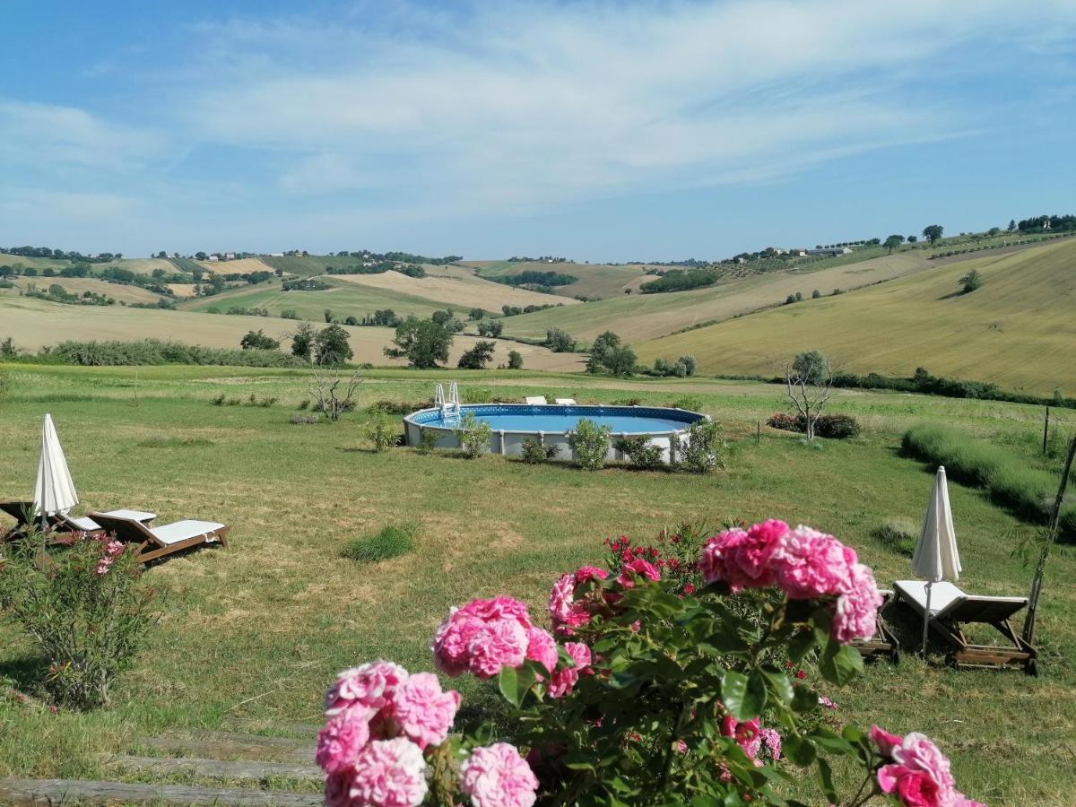 Il Giardino Nella Valle Belvedere Ostrense Exteriér fotografie