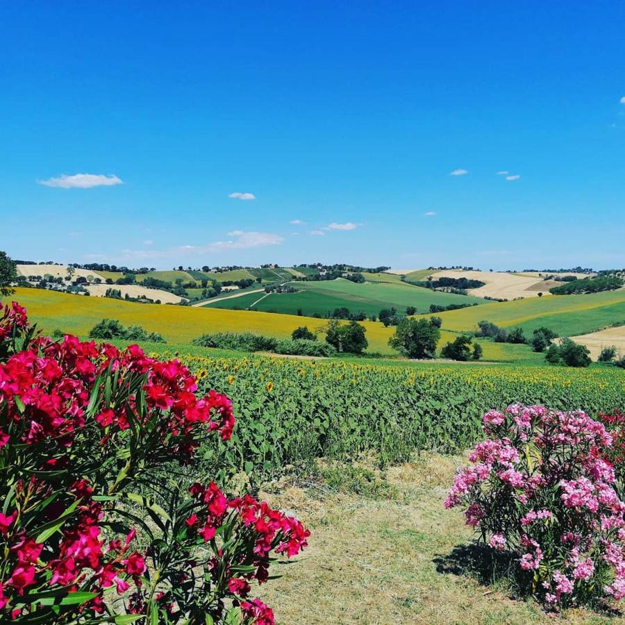 Il Giardino Nella Valle Belvedere Ostrense Exteriér fotografie
