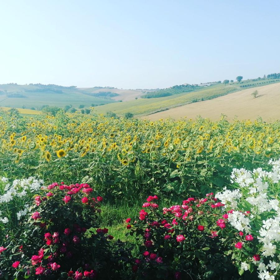 Il Giardino Nella Valle Belvedere Ostrense Exteriér fotografie