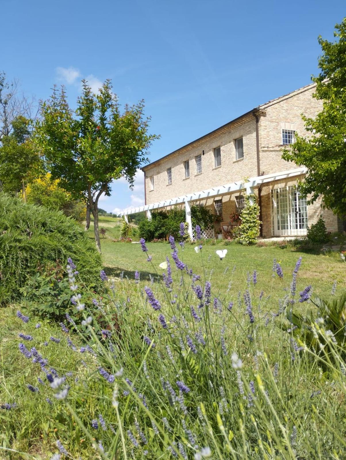 Il Giardino Nella Valle Belvedere Ostrense Pokoj fotografie