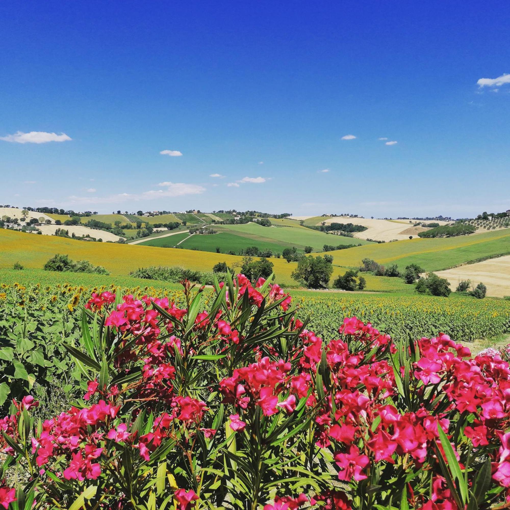 Il Giardino Nella Valle Belvedere Ostrense Exteriér fotografie