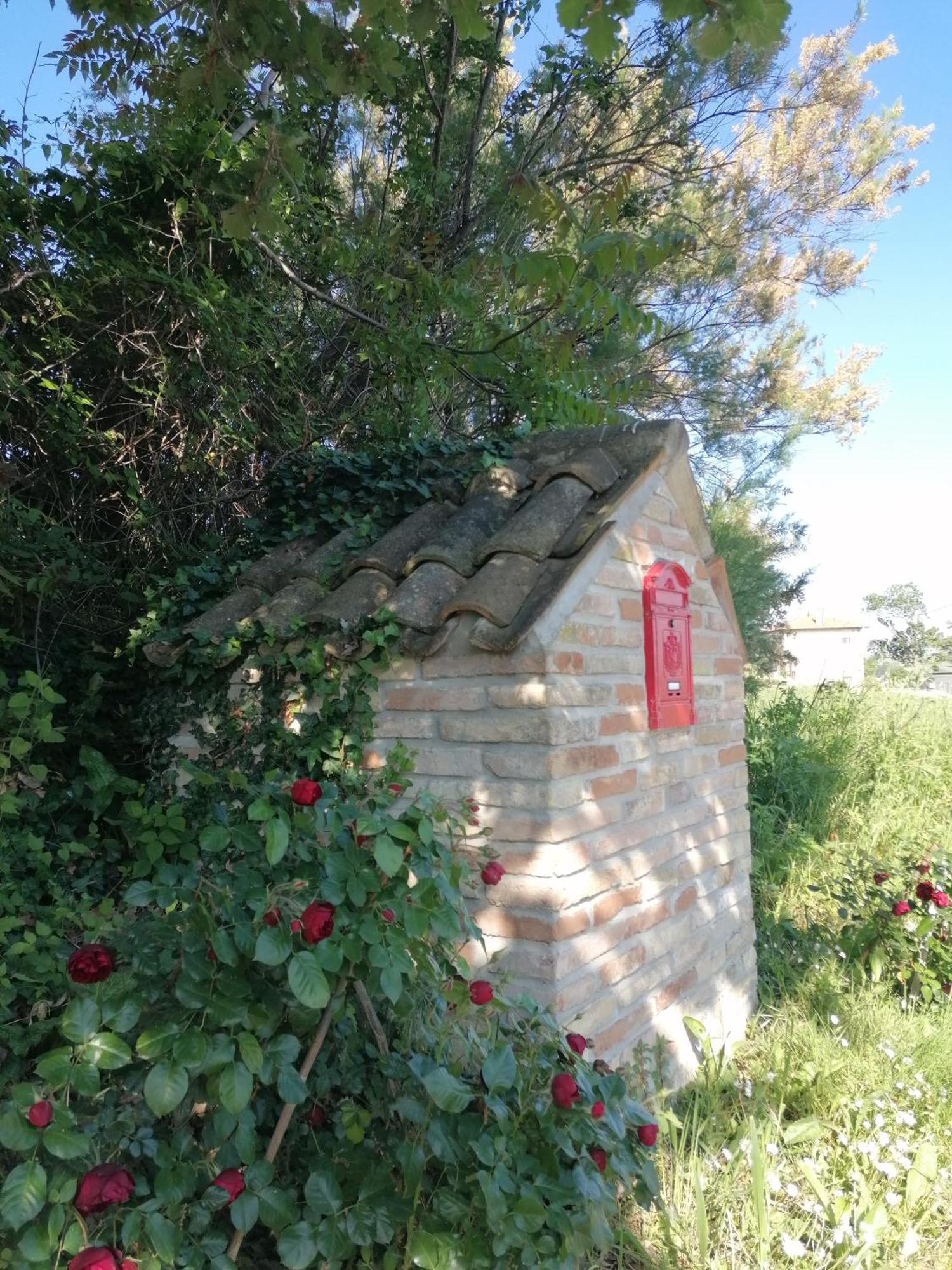 Il Giardino Nella Valle Belvedere Ostrense Exteriér fotografie