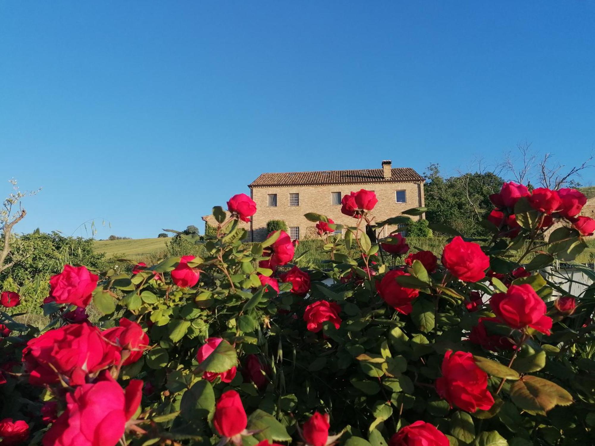 Il Giardino Nella Valle Belvedere Ostrense Exteriér fotografie